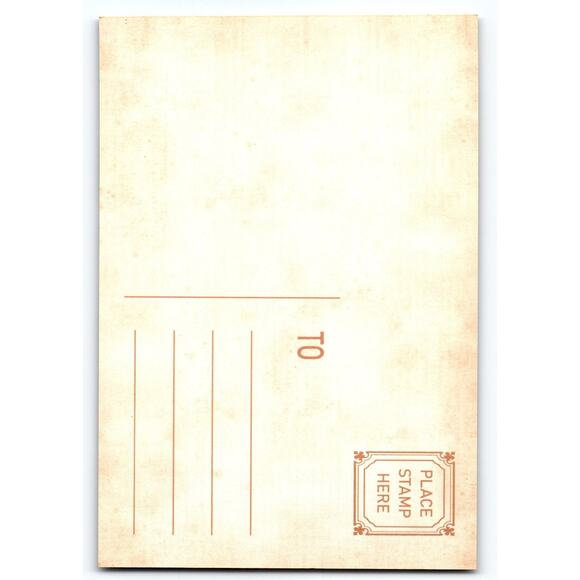 Vintage Halloween Haunted House Photochrome Postcard 5.5x4 Chrome - Picture 2 of 2